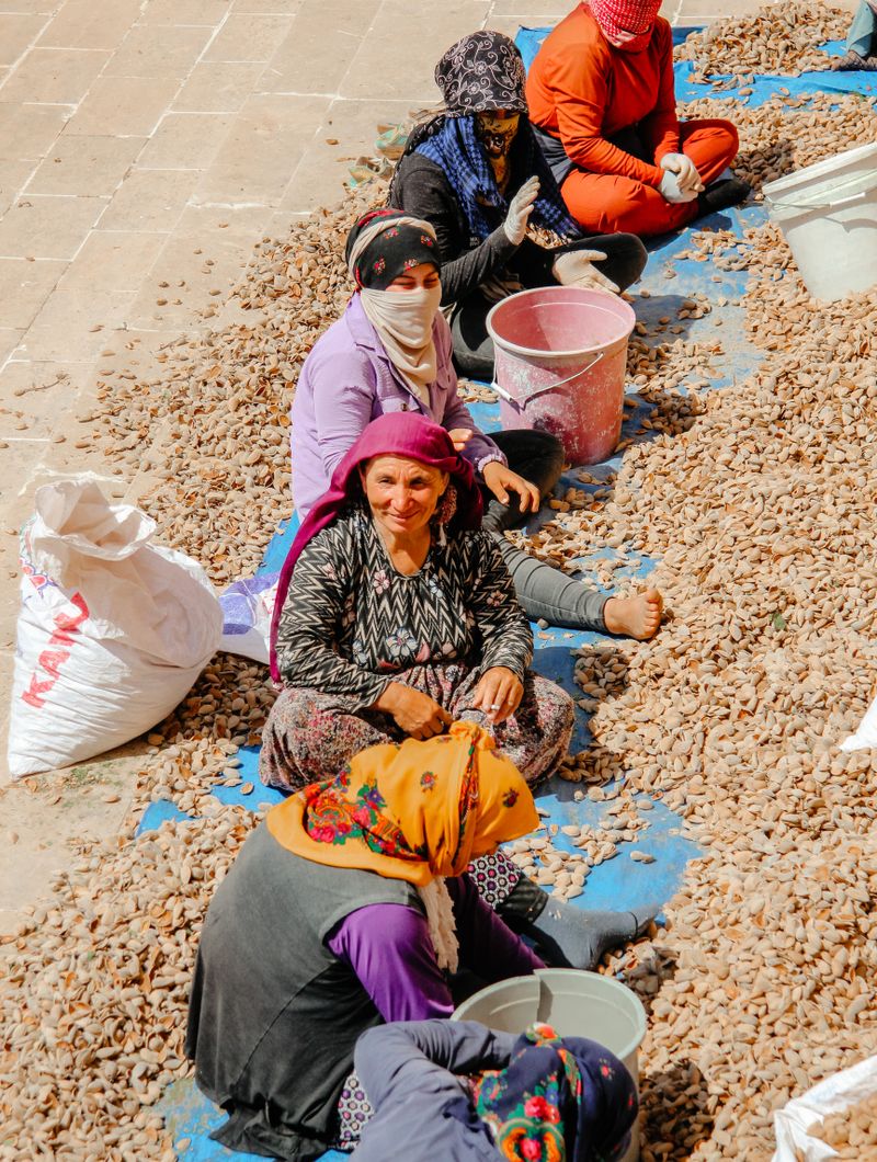 نساء التعاونية يعملن معاً على نوى الأرڭان